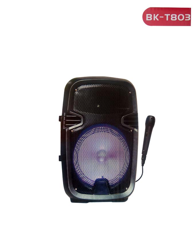 BK-T603 Mini Bluetooth speaker